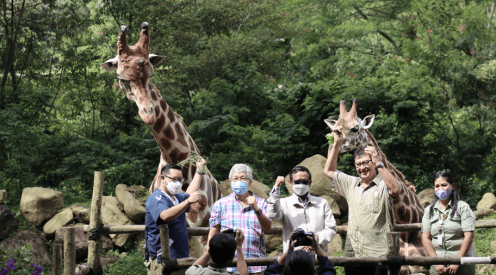 Taman Bermain Indonesia Yang Seru Dan Populer Untuk Rekreasi