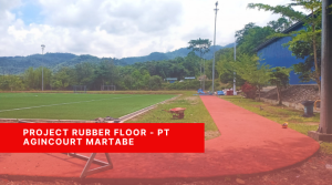 Project PT Agincourt Martabe