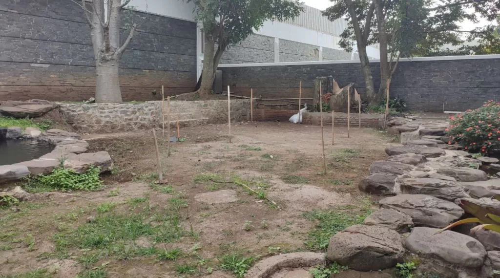 Project Outdoor Playground – Bapak William Bandung
